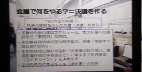 速報COP10では何がおきていたのか これからの取り組みに向けて(1:37:48)(2010/11/20) COP10名古屋 【from COP10!】青年による政府代表団へのロビイング 2010/10/28