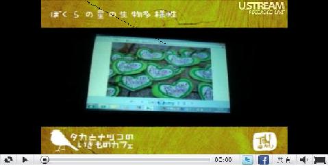 なっちゃんのどこよりも解りやすいCOP10報告(40:58) なっちゃんのどこよりも解りやすいCOP10報告