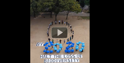COP10名古屋 HALT THE LOSS OF BIODIVERSITY COP10名古屋 HALT THE LOSS OF BIODIVERSITY